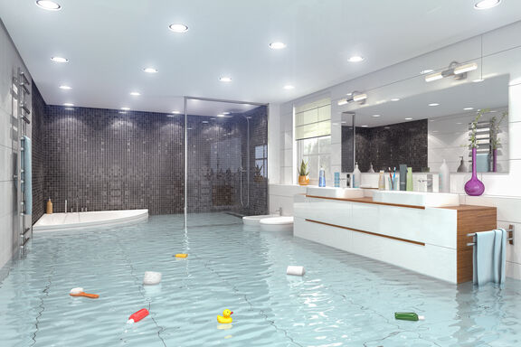 salle de bain humide